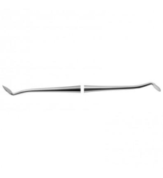 Discoid Cleoid (American Eagle)