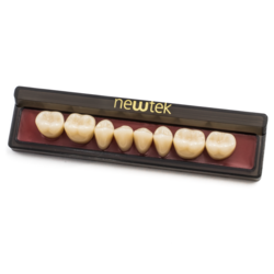 MDC New Tek Teeth Upper Posteriors Size 29M (Specify Shade) 16/Pk