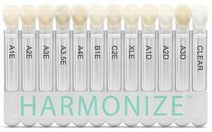 Harmonize Universal Shade Guide (Kerr)