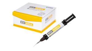MTA BioSeal BioCeramic Root Canal Sealer 4g Syringe (ITENA)
