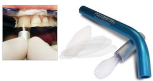 Cervical Former (Polydentia)