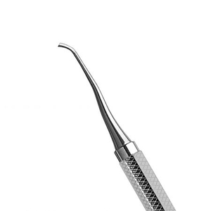 Chisel Scaler 9K/11K Darby Perry #2 Octagonal Handle Double End