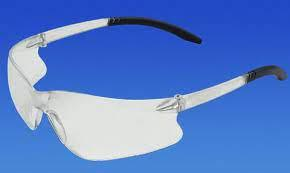 Eyewear Bad Dogs Clear/Clear Ea