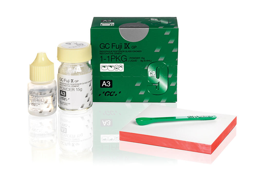 Fuji IX GP P&L (GC America)